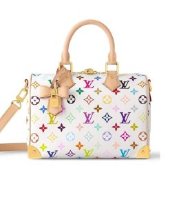 Louis Vuitton X Takashi Murakami Speedy Multicolor 25Cm