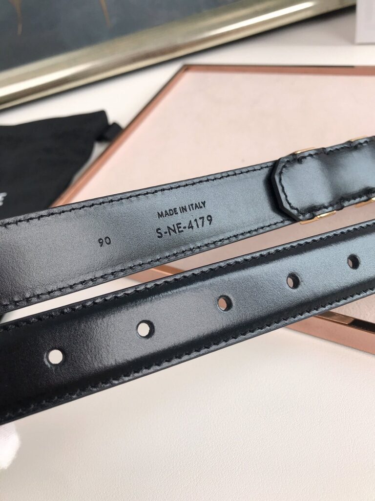 Celine Small Triomphe Black Belt In Natutal Calfskin Gold Metal - Image 5