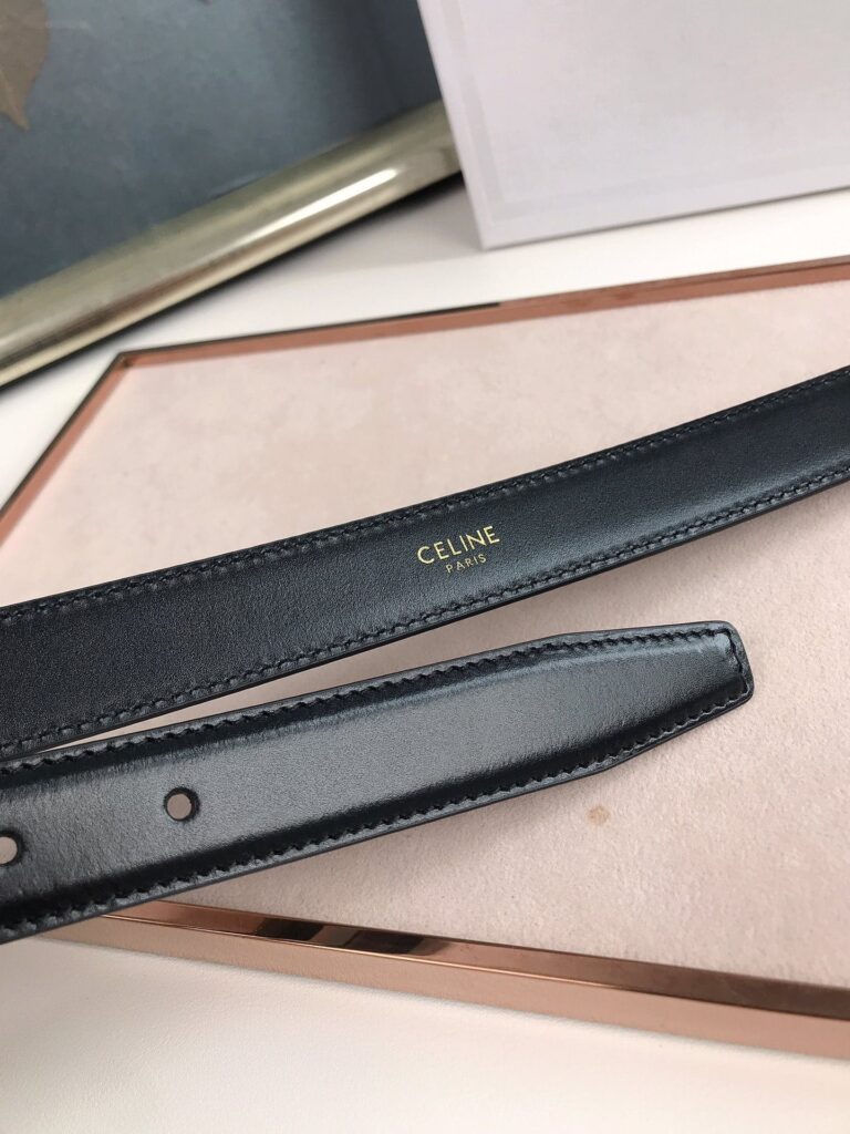 Celine Small Triomphe Black Belt In Natutal Calfskin Gold Metal - Image 6