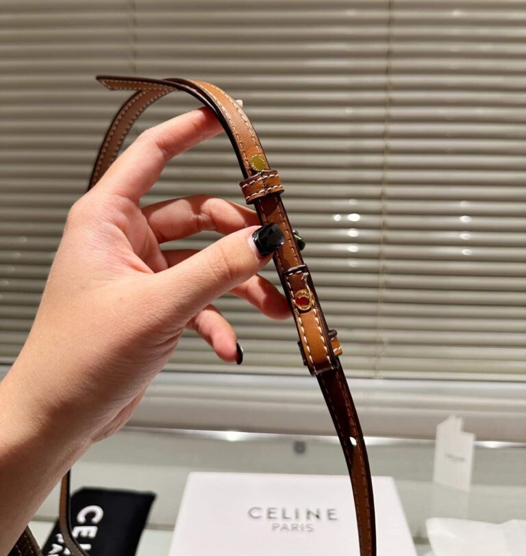 Celine Wallet On Strap In Triomphe Canvas And Smooth Lambskin Tan 20Cm - Image 8