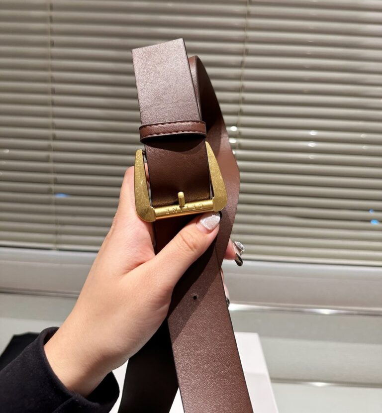 Celine Macadam Belt Bag Brown And Blue Denim 24Cm - Image 9