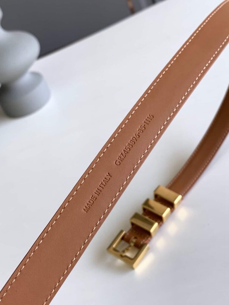 Saint Laurent  Passants Brown And  Gold Belt 3146292551 - Image 3