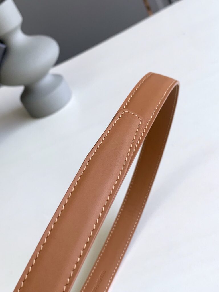 Saint Laurent  Passants Brown And  Gold Belt 3146292551 - Image 4