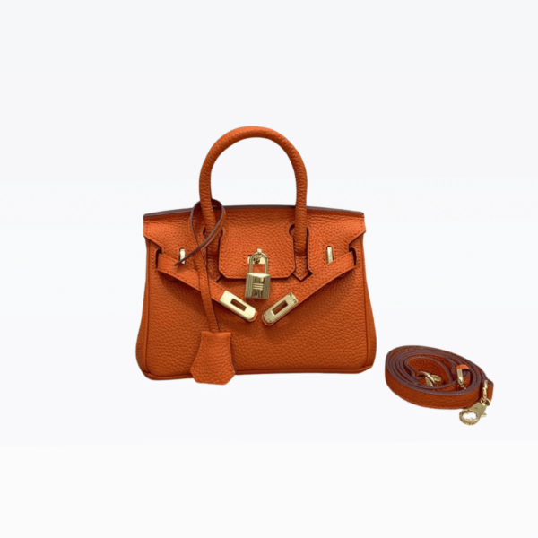 Hermes Birkin Mini Gold Hardware Epsom Orange 20Cm