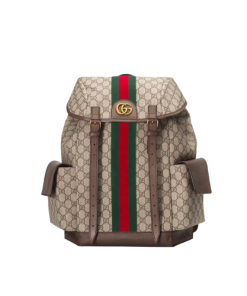 Gucci Ophidia Gg Medium Backpack 40Cm 598140 Huhat 8564