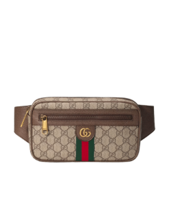 Gucci Gg Ophidia Belt Brown Bag 24Cm 574796 97Sit 8747