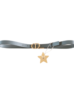 Dior 30 Montaigne Reversible Belt Grey 2Cm