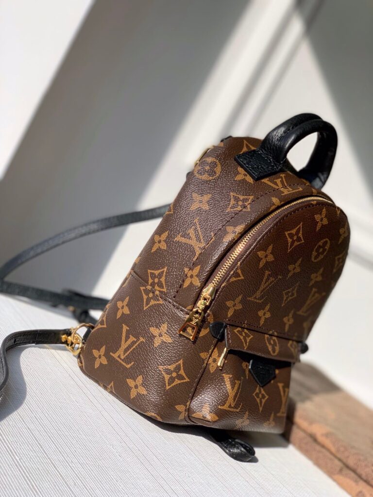 Louis Vuitton Palm Springs Mini Backpack 22Cm M44873 - Image 2