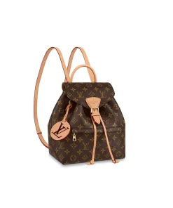 Louis Vuitton Montsouris Pm 27Cm M45501