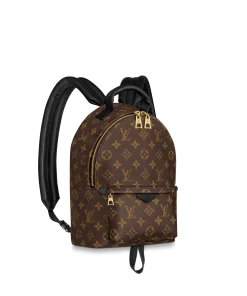 Louis Vuitton Palm Springs Pm 29Cm M44871