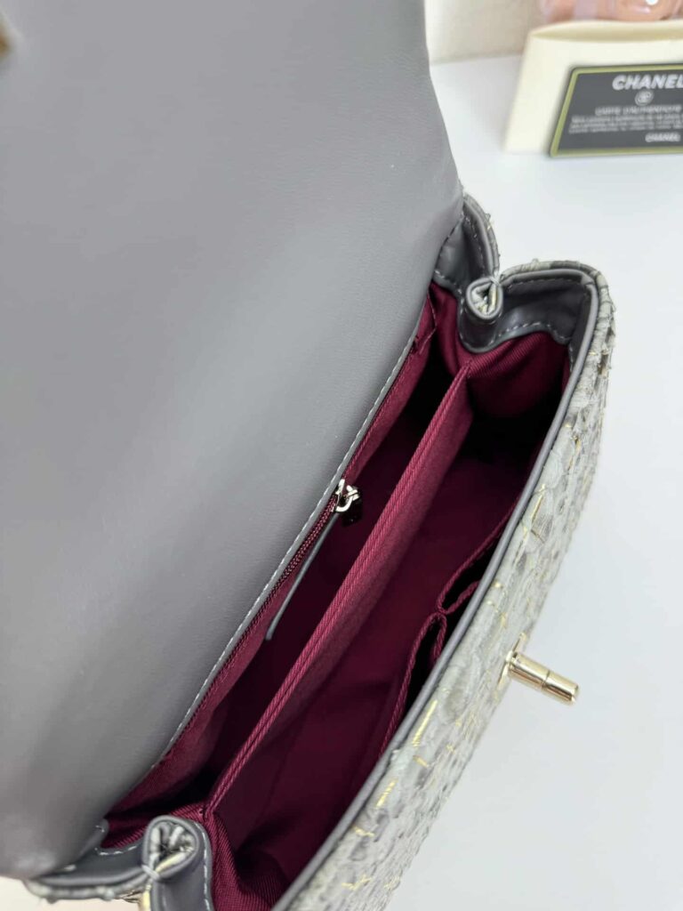 Chanel Trendy Cc Top Handle Bag Python Gray 23Cm - Image 5