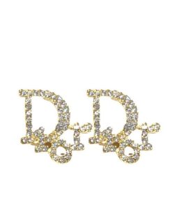Dior Logo Earrings