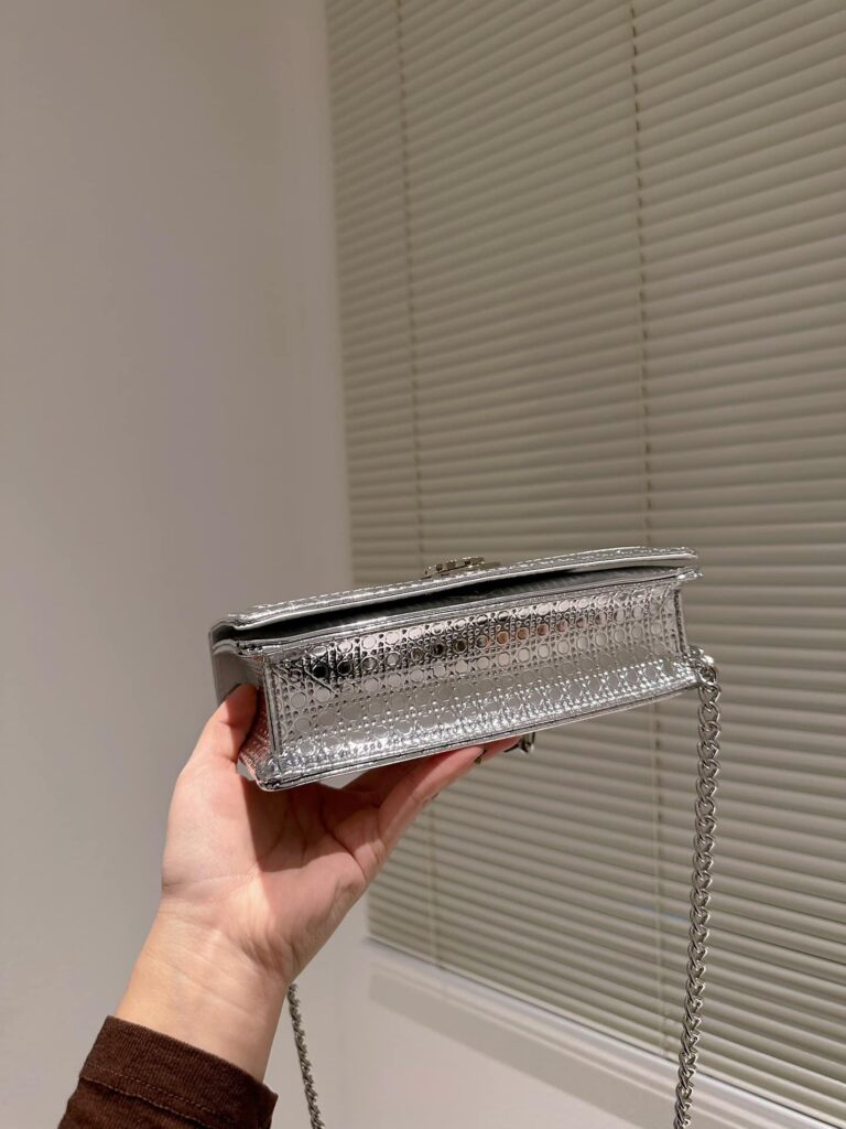 Dior Diorama Bullion White And Silver Bag 21Cm - Image 7