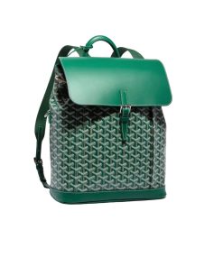 Goyard Alpin Mm Backpack Green 40Cm Alpin2Minty09Cl09P