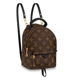Louis Vuitton Palm Springs Mini Backpack 22Cm M44873