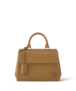 Louis Vuitton Cluny Mini Brown 20Cm M58931