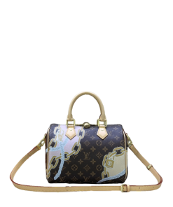 Louis Vuitton Speedy Bandoulière 25Cm Brown N40473