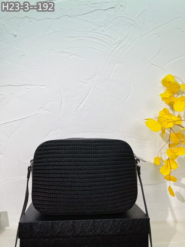 Saint Laurent Lou Camera Bag In Raffia And Smooth Leather Black 24Cm - Image 3