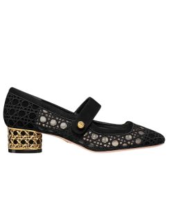 Dior Icon Pump Transparent Mesh With Cannage Motif In Black