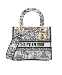 Dior Medium Lady D Lite Bag Paris Allover Embroidery White And Black 24Cm M0565Oegi M933