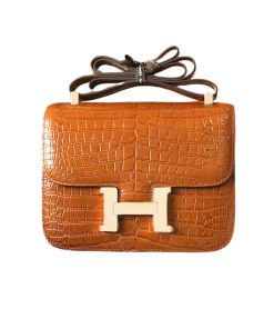 Hermes Mini Constance 19 Shiny Alligator Palladium Hardware Gold 19Cm