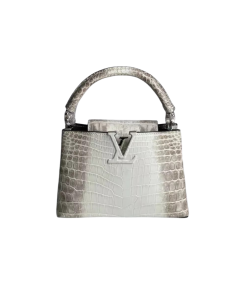Louis Vuitton Capucines Bb Silver 27Cm N98177