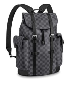 Louis Vuitton Damier Canvas Christopher Pm Backpack N41379