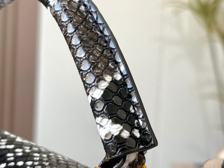 Louis Vuitton Capucines Mini Galet M95509 - Image 7