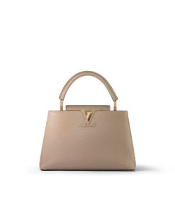 Louis Vuitton Capucines Mm Grey 31Cm M42253