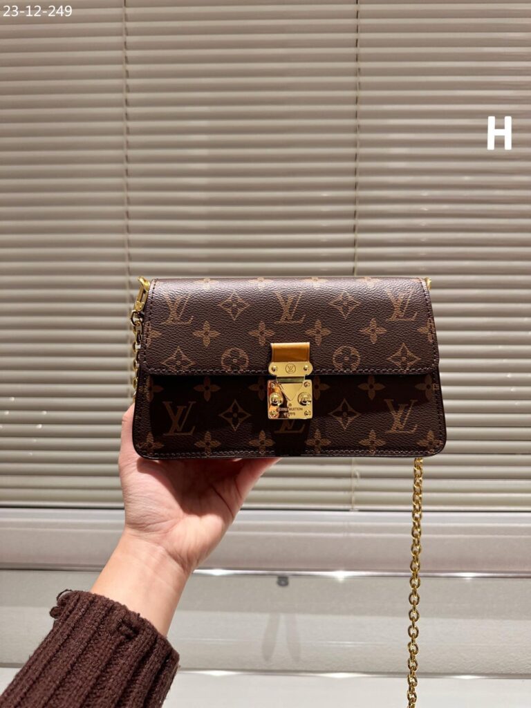 Louis Vuitton Wallet On Chain Métis Monogram Brown 22Cm - Image 2