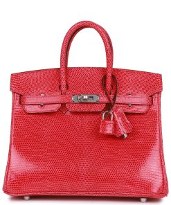 H Handbags Birkin 25 Rose Extreme Lizard Palladium Hardware