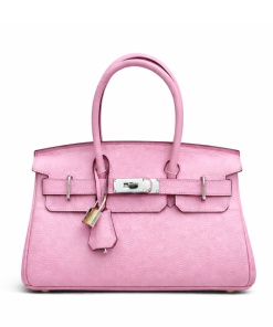 Hermes Birkin Shoulder 30 Mauve Sylvestre Clemence Gold Hardware