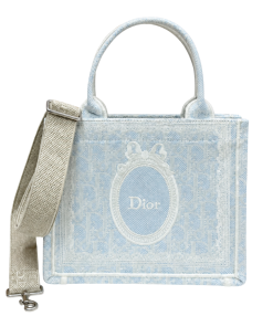 Medium Dior Book Tote with Strap